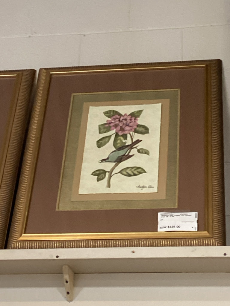 Botanical Gold Framed "Fly Catcher" Print 28" X 34"