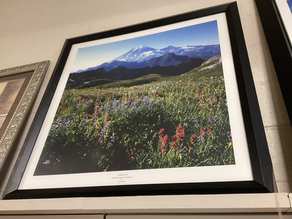 Tatoosh View of Mount Rainier National Park Matted Under Glass 38" X 38"