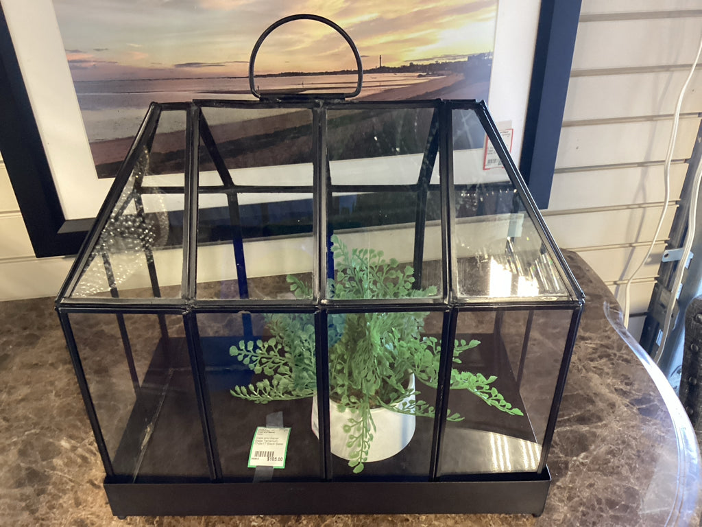 Crate and Barrel Glass Terranium 17x9x17 Black Base