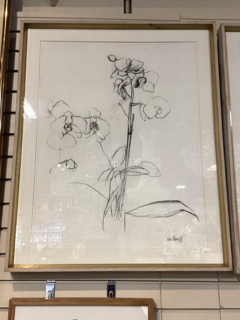Orchid Studies  Framed by Lisa Pevaroff 26" X 32"