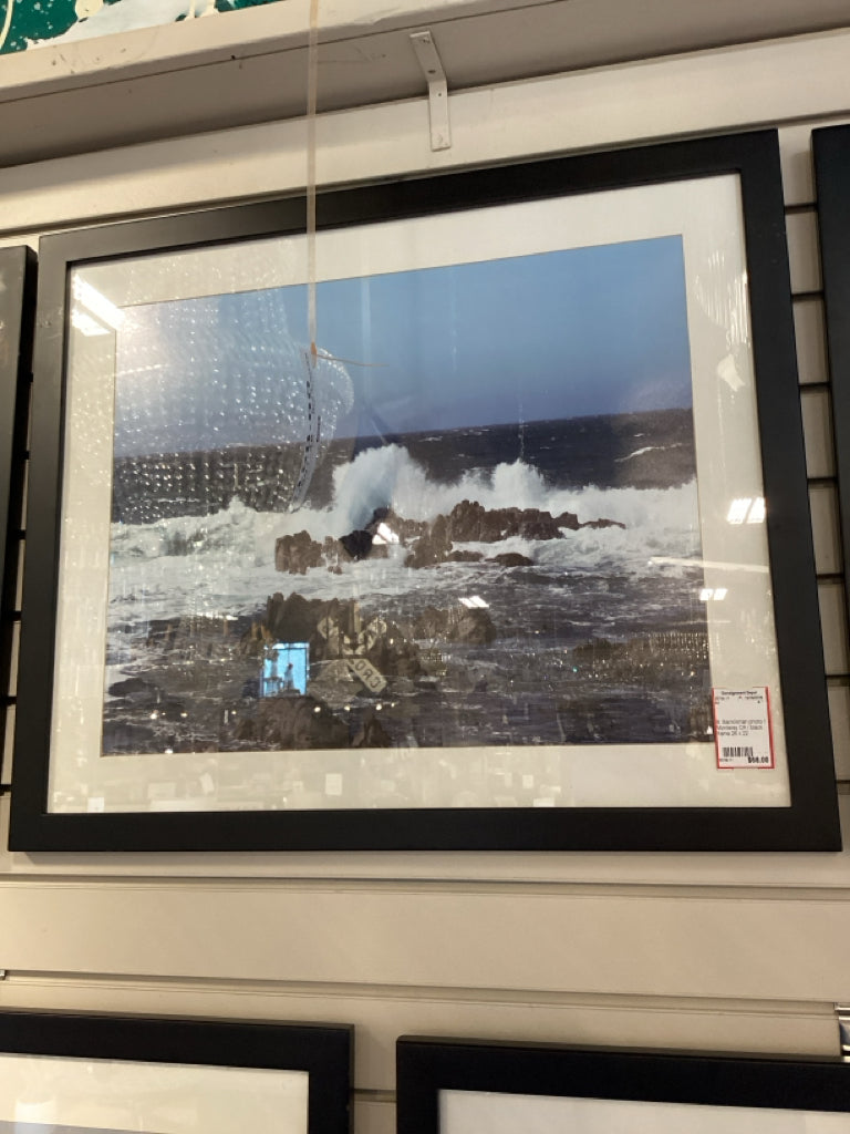 B. Barrickman photo / Monterey CA / black frame 26 x 22