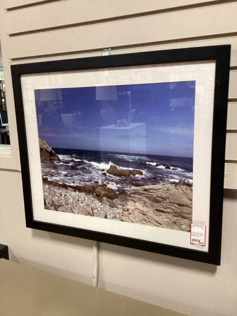 B. Barrickman photo / Monterey CA / black frame 26 x 22