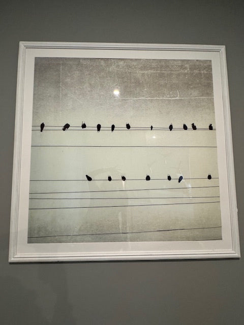 Pottery Barn, birds on a wire, photo art, 50x49