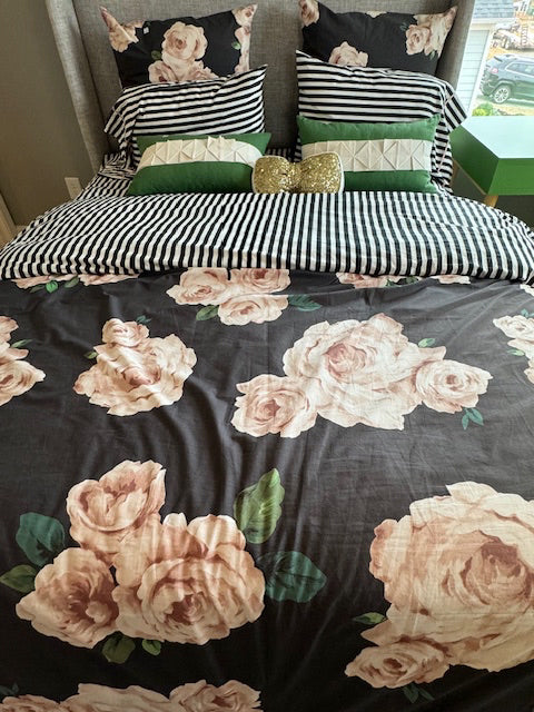 Pottery Barn Teen QUEEN rosecomforter, 2stripe pillows, 2 shams, 1 accent pillow