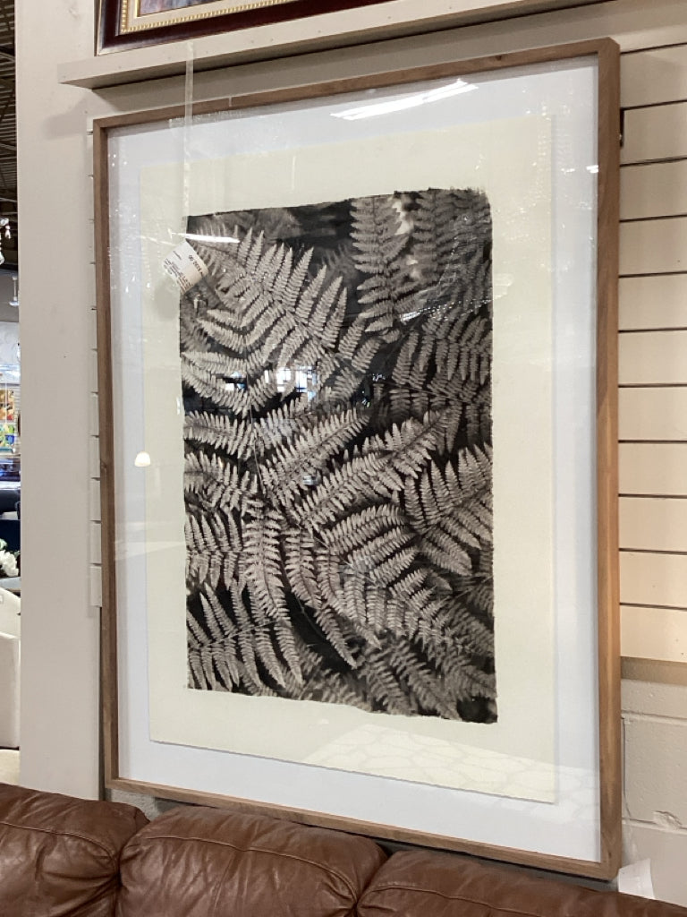Art / Wonderwall Fern in shadowbox wood frame 47 x 60
