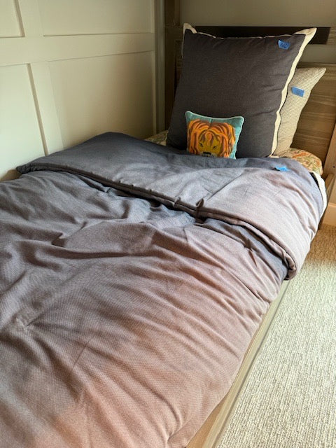 PAIR Eastern Accent Tom Felicia Twin Comforter, pillor and  Lion Accent Pillow