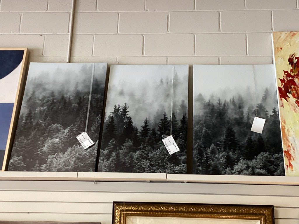 Forest Print on Canvas Art 24x36
