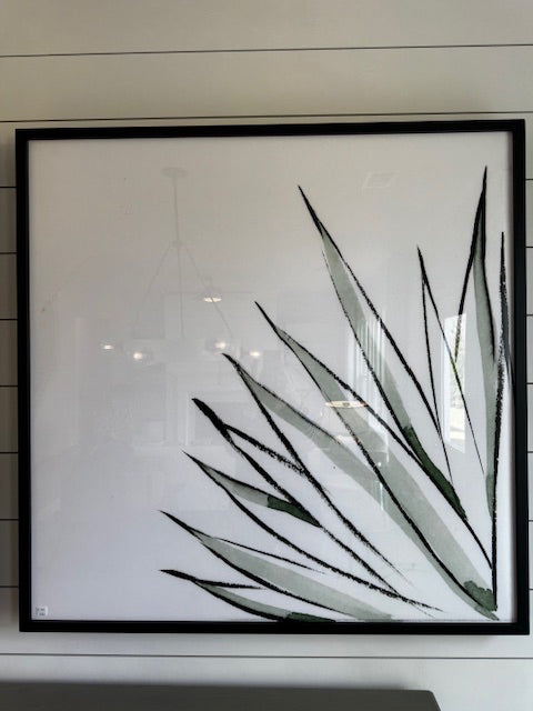 Agave by Jess Engle art; blk frame; 40x40