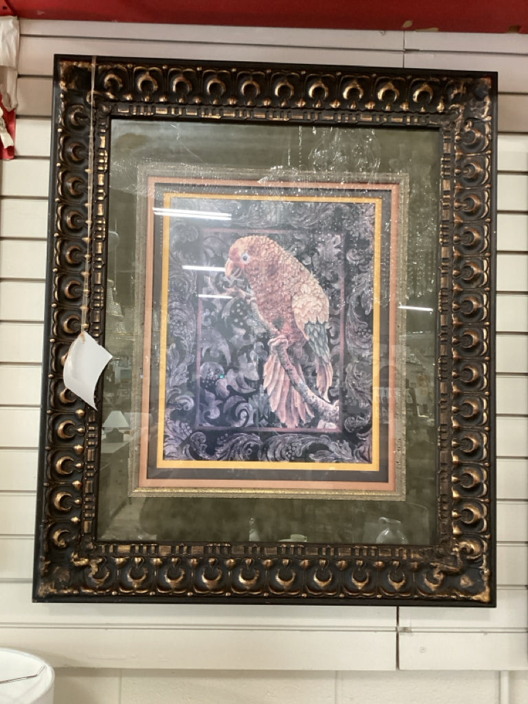 Golden Parrot II Framed Art 31x37