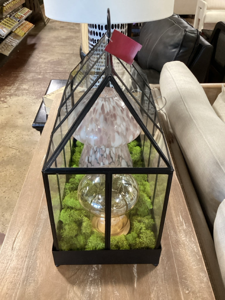 Crate and Barrel Terrarium w/ Mushrooms and Moss 17" x 9" 16"