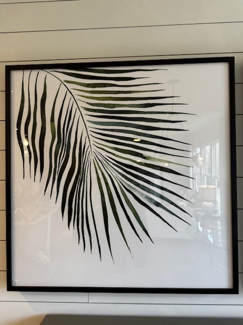 Palm by Jess Engle art; blk frame; 40x40