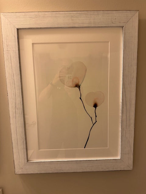 Flowering tree branch framed art; wht wash frame; 22x28.5