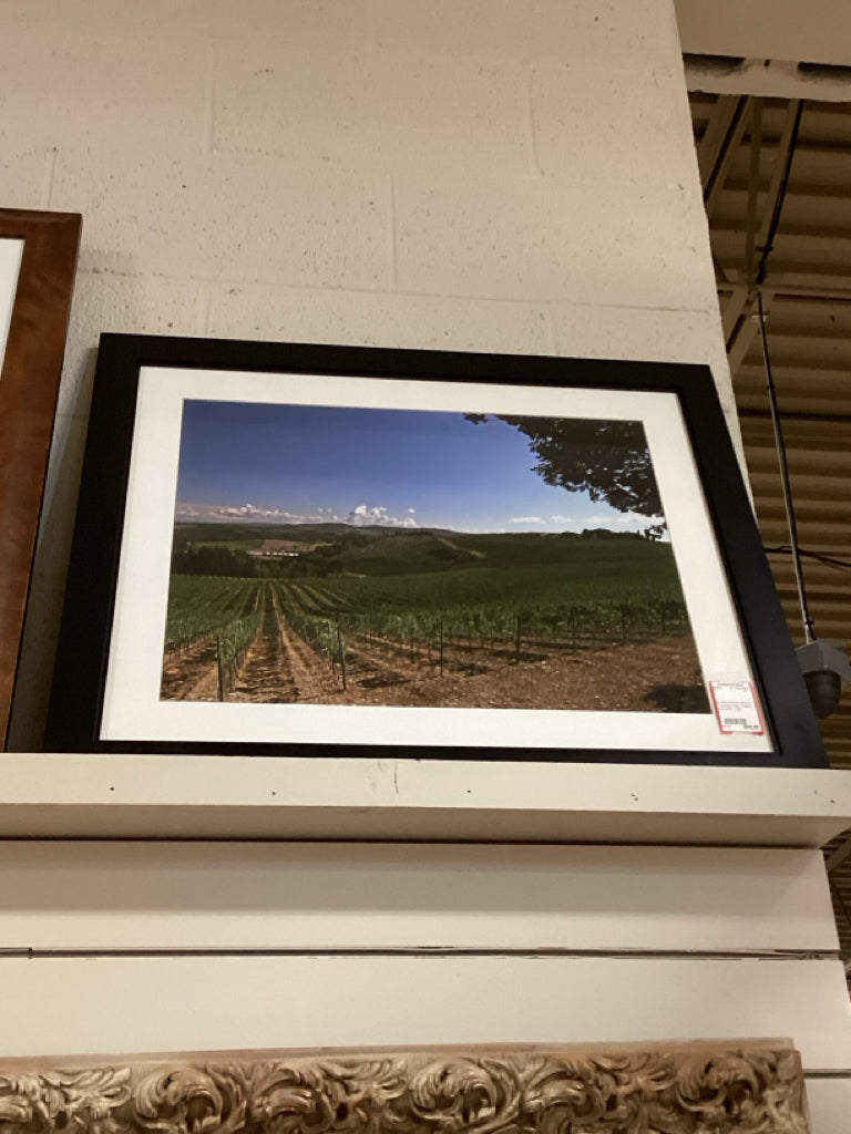 B. Barrickman photo / Tuscany Italy / black frame 27 x 23