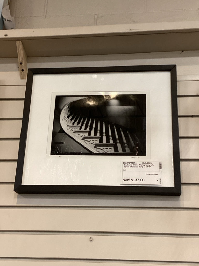 Black and White Photography of a Spiral Staircase 20"L x 17"W