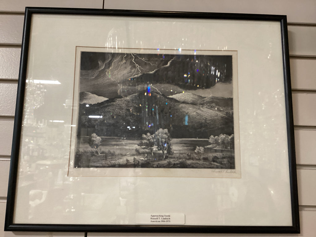 "Approaching Storm" 16 x 21 Black Frame Signed