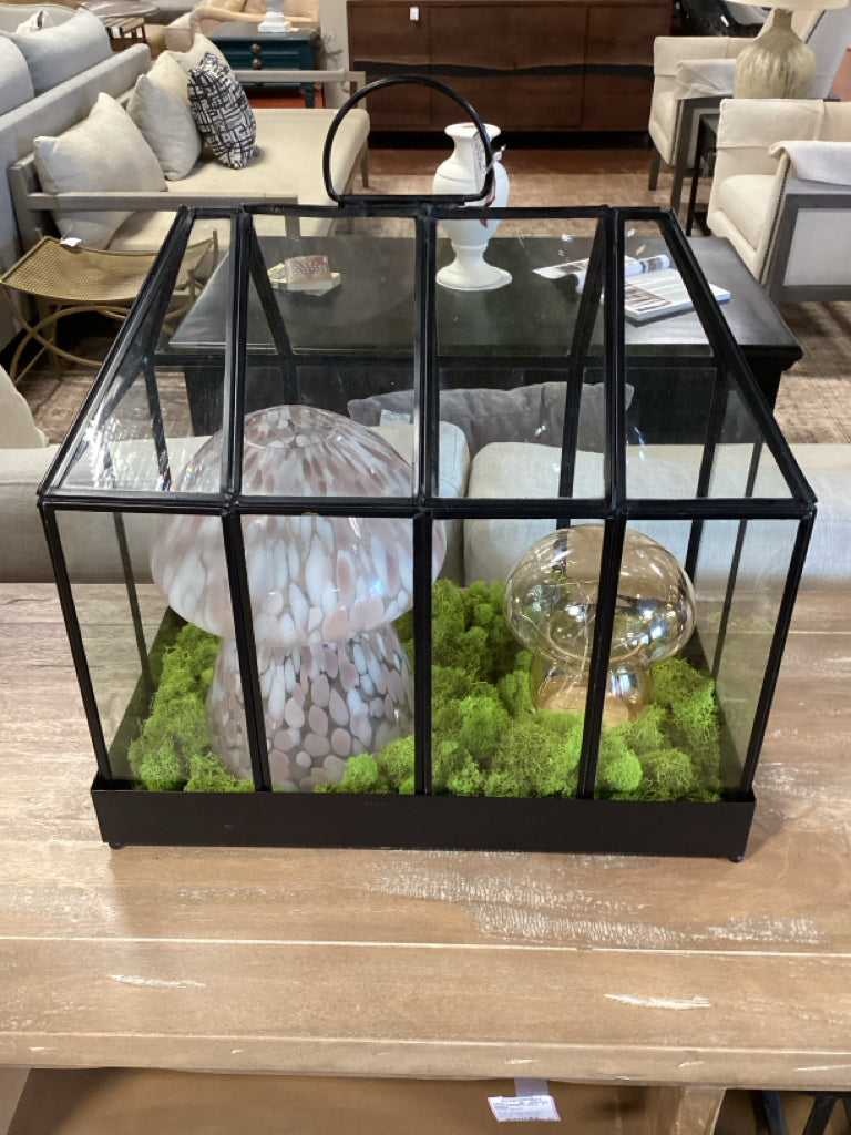 Crate and Barrel Terrarium w/ Mushrooms and Moss 17" x 9" 16"