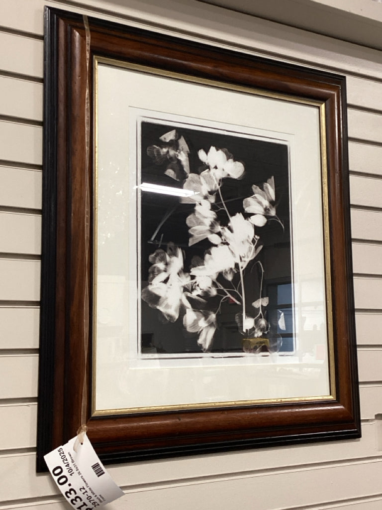 Black & White Flowers 26.5x31 Brown Frame