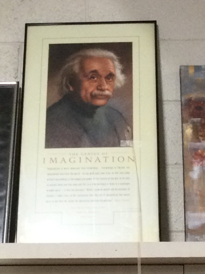 Framed 15" X 30" The Genius of Imagination 16 X 30 (Einstein)